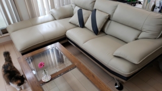 Thumbnail of post image 164